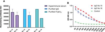 Therapeutic equine hyperimmune antibodies with high and broad-spectrum neutralizing activity protect rodents against SARS-CoV-2 infection